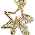 Star Blossom Charm