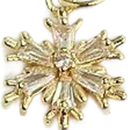 Snowflake Charm