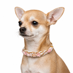 Blush Breeze - Collar