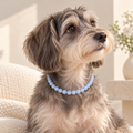 BYO Dog Necklace - Bluebell