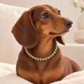 BYO Dog Necklace - Matcha Mochi