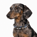 Ocean Drift - Collar