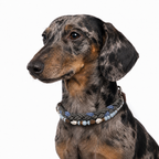 Ocean Drift - Collar