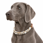 Coastal Glow - Collar Set