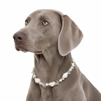 Coastal Glow - Necklace Set