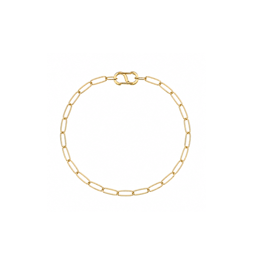 BYO Dog Necklace - 18K Gold Bold Chain