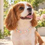 BYO Dog Necklace - Jelly Beans